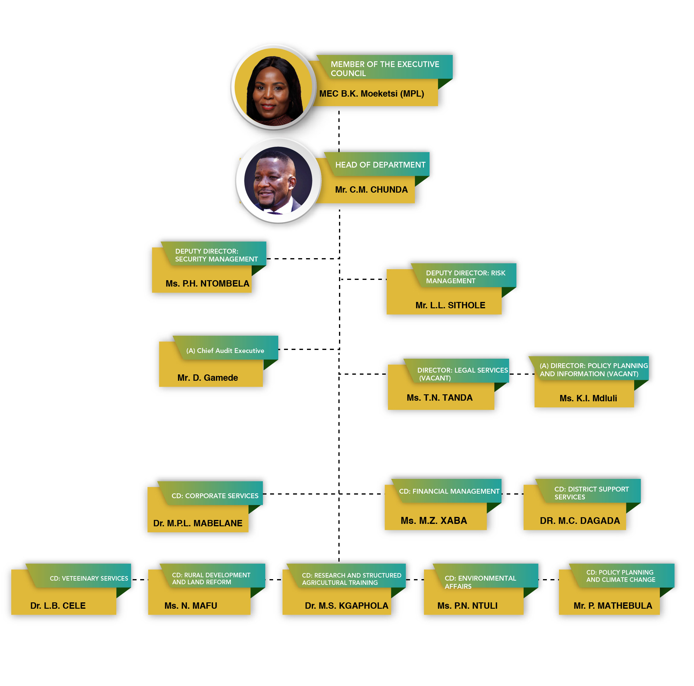 Organogram of DARDLEA