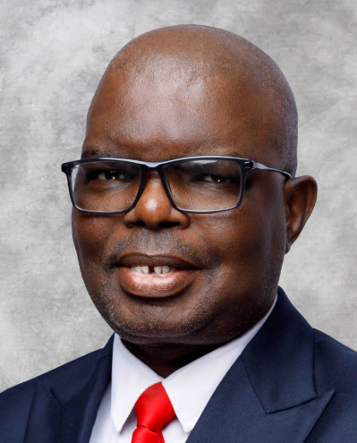 Photo of MEC for Finance, Bonakele Majuba