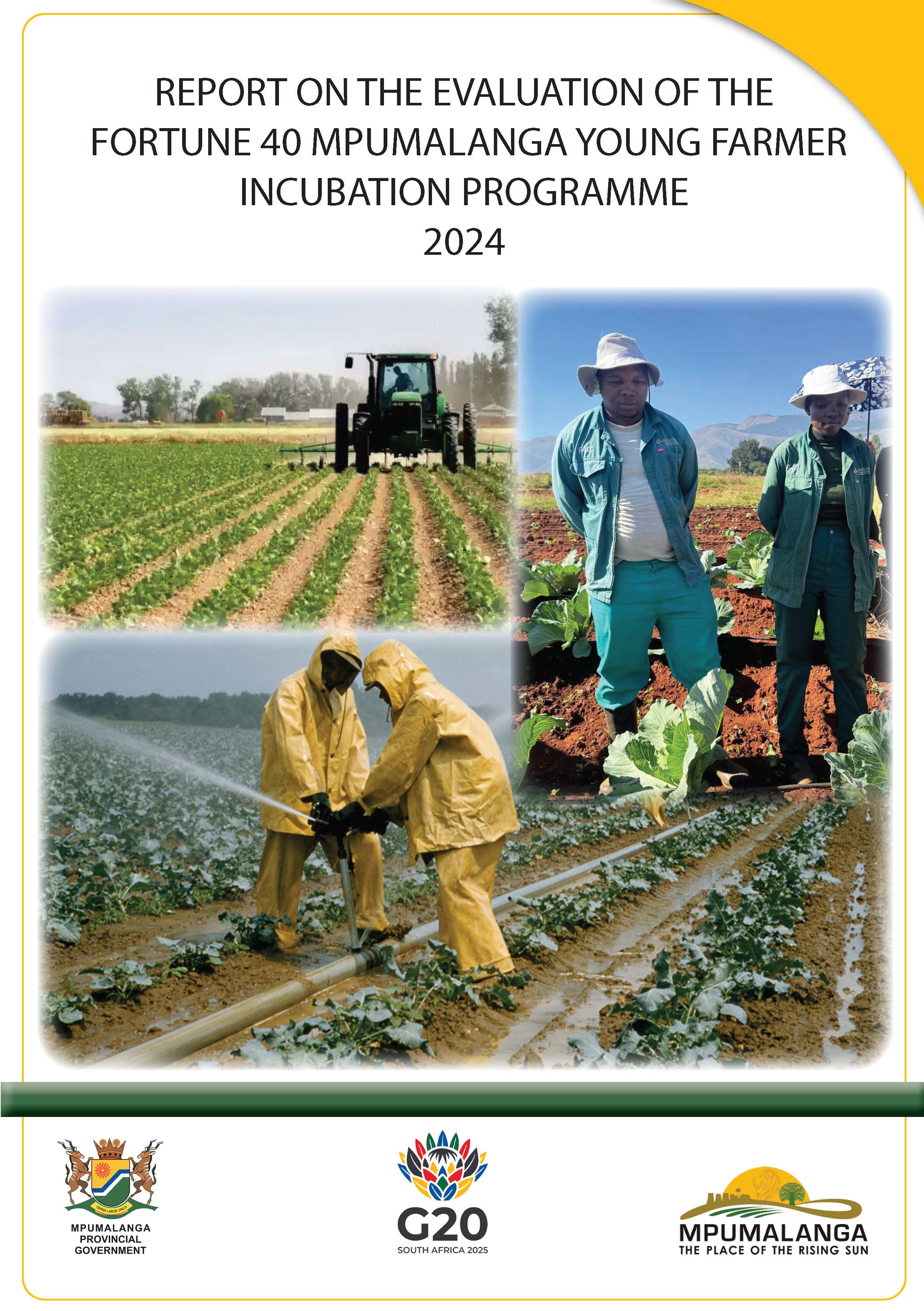 Evaluation report of the Fortune 40 Mpumalanga young farmer incubation programme