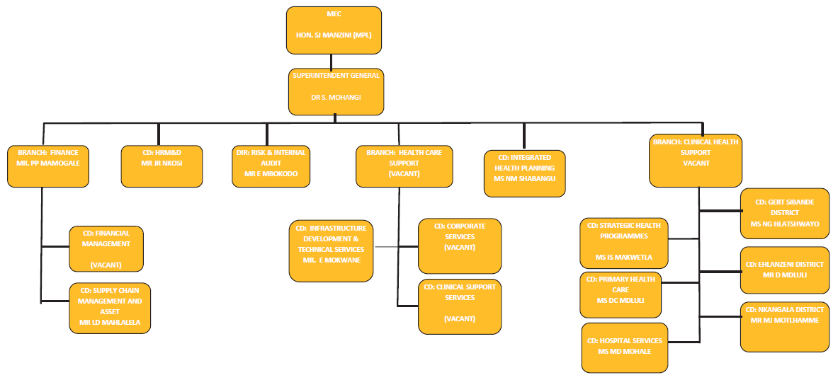 DOH Organizational Structure