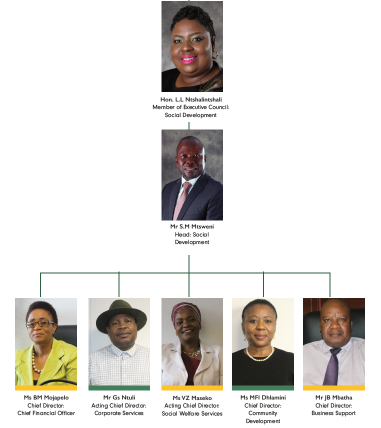 DSD organizational Structure