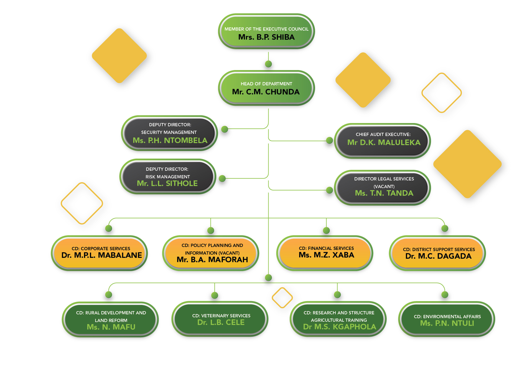 Organizational structure of DARDLEA