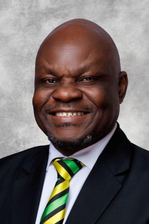 Picture of MEC for Culture, Sport & Recreation, Fana Mlombo