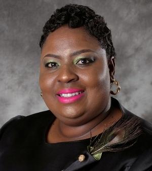 Picture of MEC for Social Development, Lindiwe Ntshalintshali