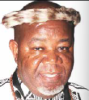 Photo of Kgoshi LM Mokoena 
